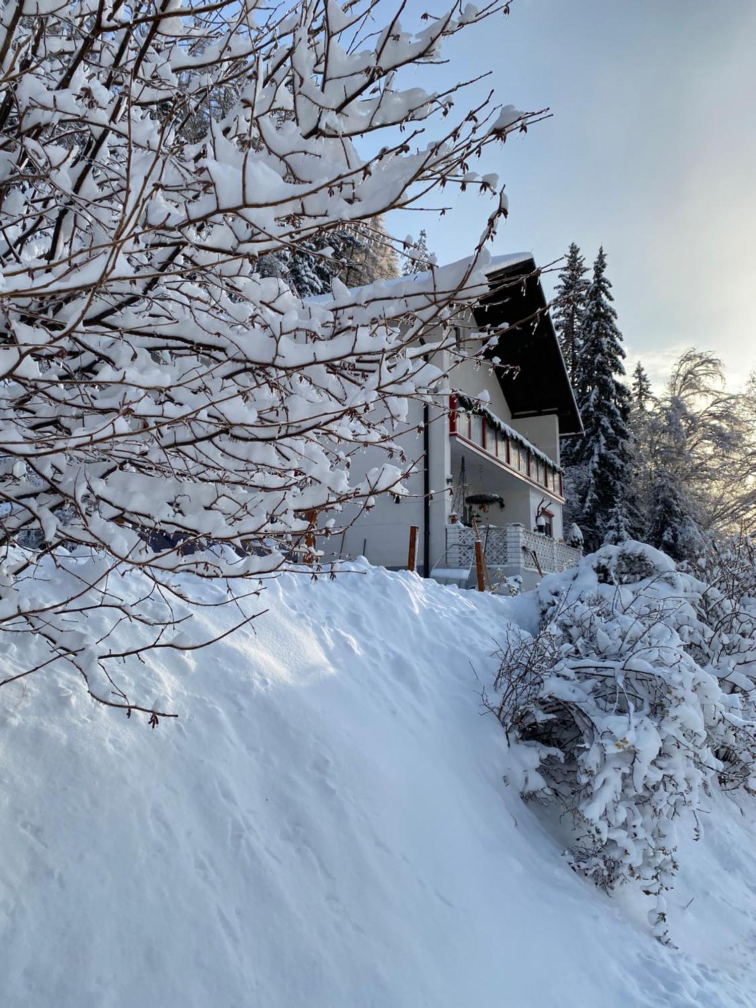 Poelstaler Berghuette Lägenhet Oberzeiring Exteriör bild