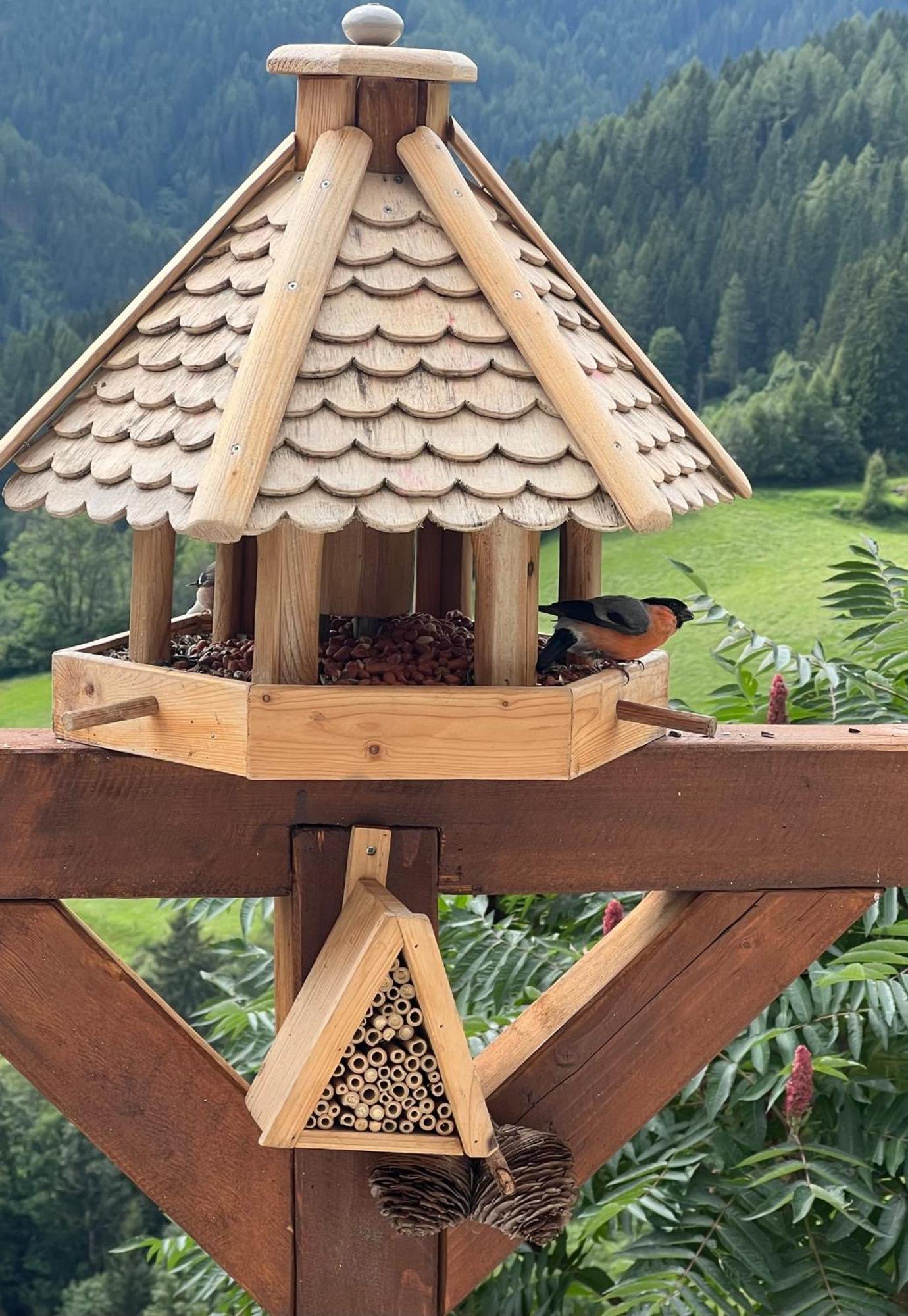 Poelstaler Berghuette Lägenhet Oberzeiring Exteriör bild