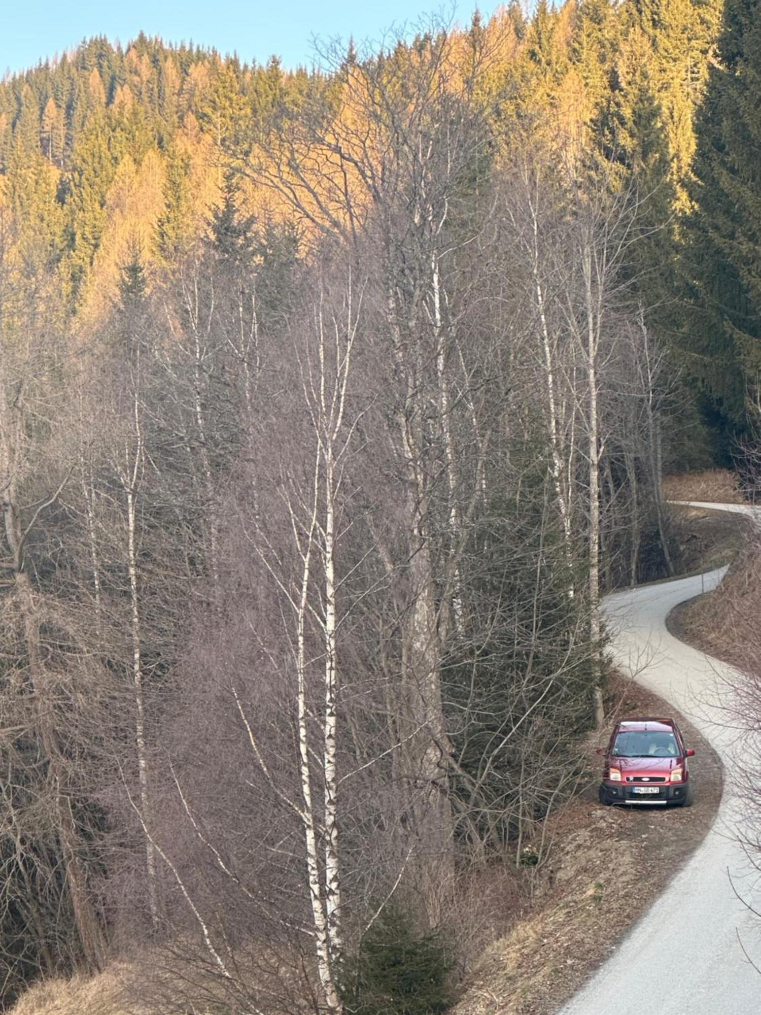 Poelstaler Berghuette Lägenhet Oberzeiring Exteriör bild